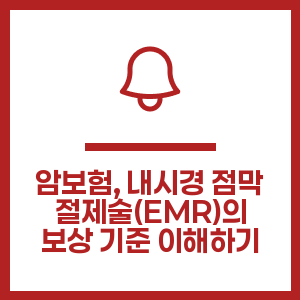암보험, 내시경 점막 절제술(EMR)의 보상 기준 이해하기