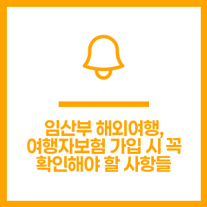 임산부 해외여행, 여행자보험 가입 시 꼭 확인해야 할 사항들